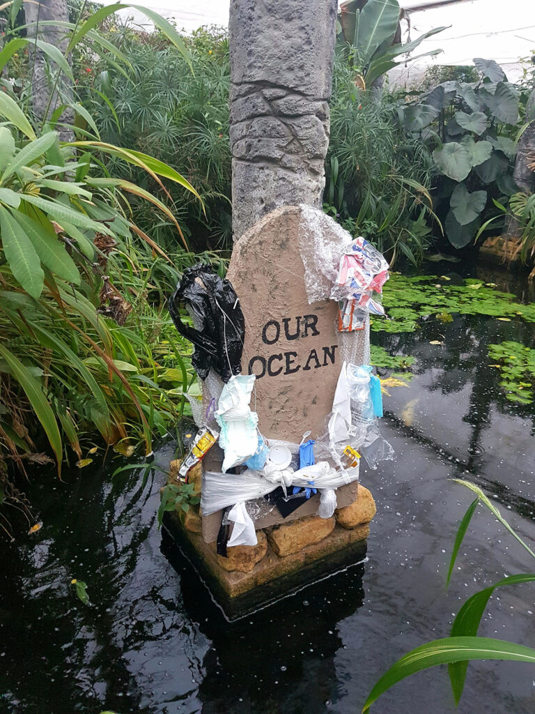 Enjoy a spooky half term at Stratford Butterfly Farm!